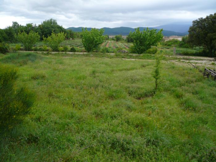 TERRAIN A BATIR POUR 2 MAISONS