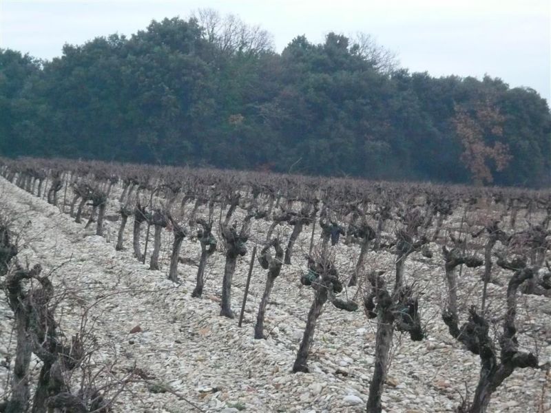 TERRAIN AGRICOLE 3 ha