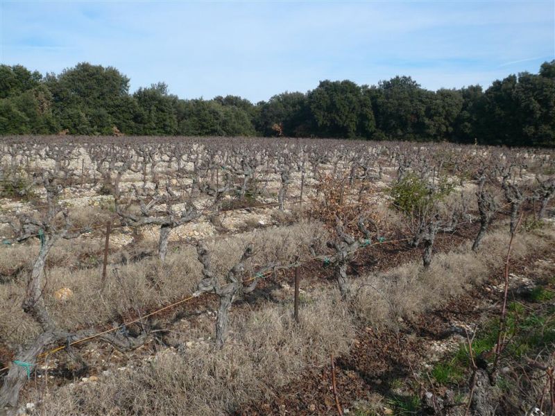 TERRAIN AGRICOLE  3,5 HA