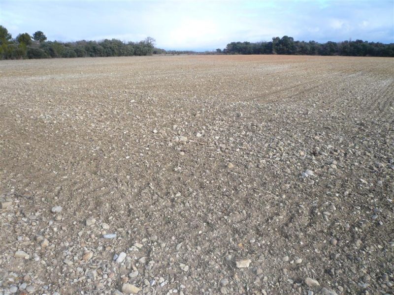 TERRE AGRICOLE NUE 5,5 ha