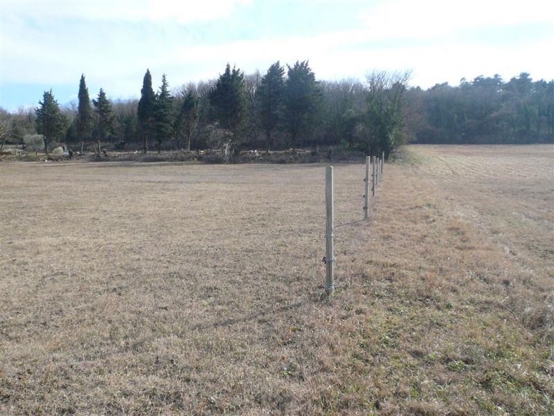 TERRE AGRICOLE NUE 7500 m�