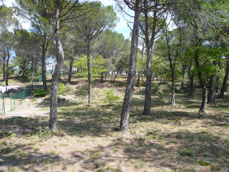 TERRAIN CONSTRUCTIBLE 2500 M�