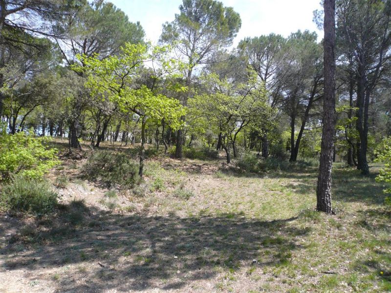 TERRAIN CONSTRUCTIBLE 2500 M�