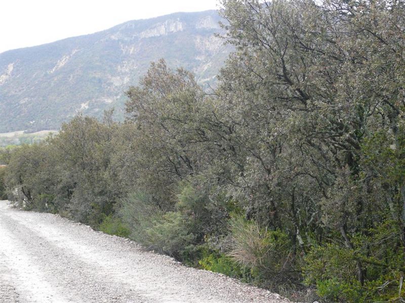 TERRAIN CONSTRUCTIBLE 1924 M�