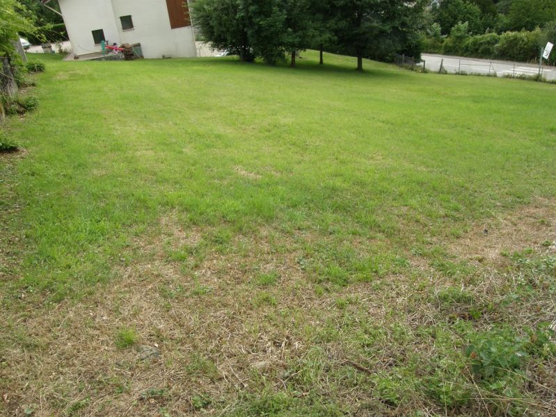 � saisir petit budget  terrain l�g�rement en pente