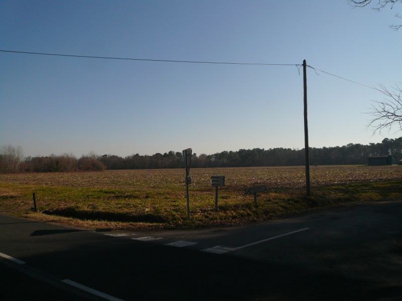 Vente terrain 85400 M2 constructible avec projet agricole
