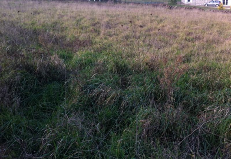 Terrain Charnas 1580 m2