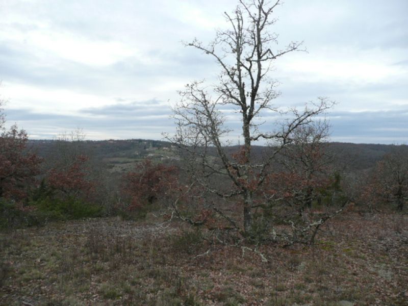 Terrain � b�tir 10 mn de Cahors