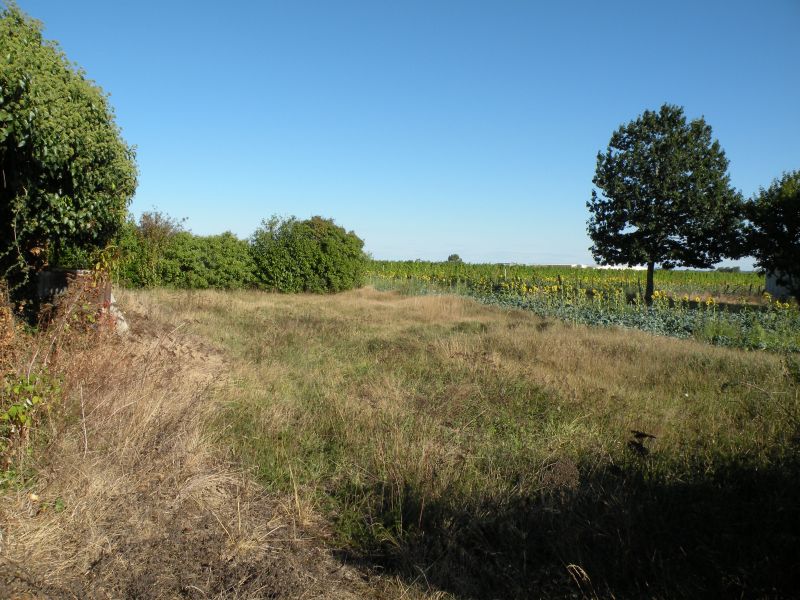 TERRAIN 830 m� PROCHE DU BOURG DE MARCILLAC