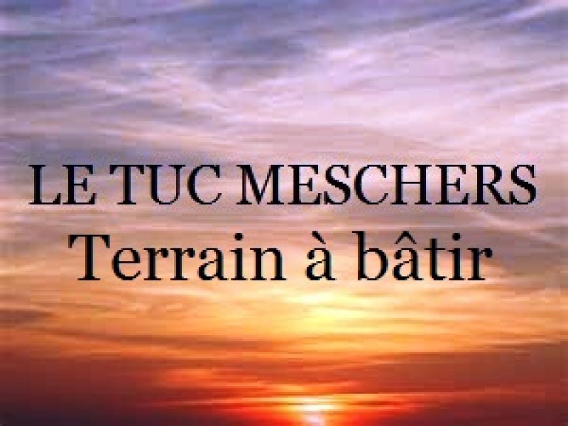 proche Chenac St Seurin terrain