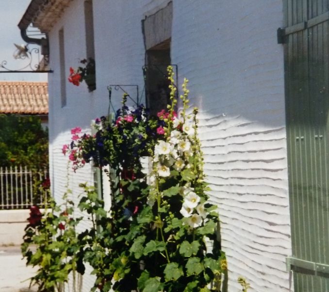 Proche  Meschers Sur Gironde maison