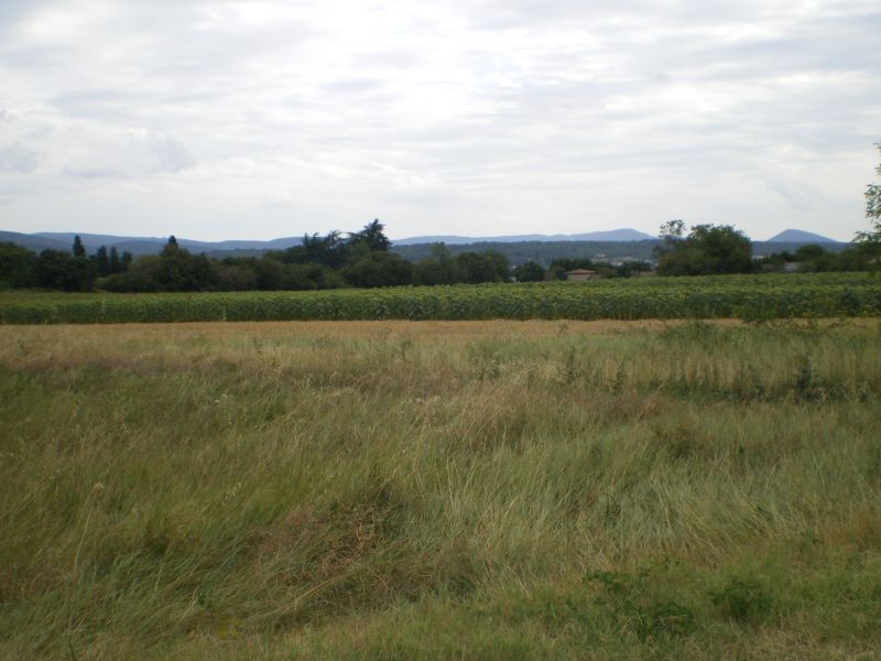 Terrain Montelimar 1996 m2