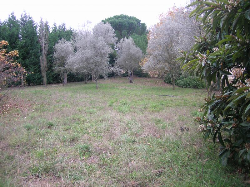TERRAIN A BATIR