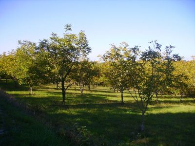 Terrain Trelissac 1660 m2