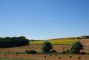 Charente/Dordogne bordure: Belle Fermette avec gites